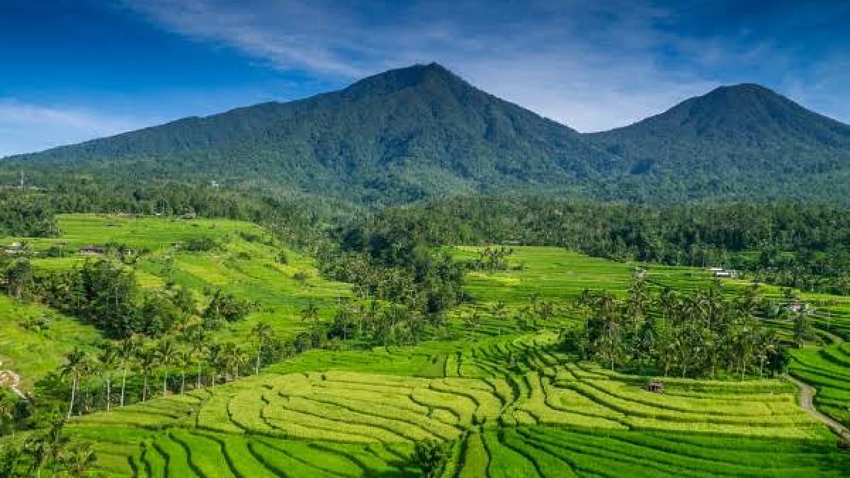 Khutbah Jumat: Mensyukuri Nikmat Pangan dan Peduli kepada Sesama