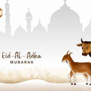 Khutbah Idul Adha: Hikmah Kerikil dan Darah Hewan Qurban