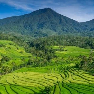 Khutbah Jumat: Mensyukuri Nikmat Pangan dan Peduli kepada Sesama